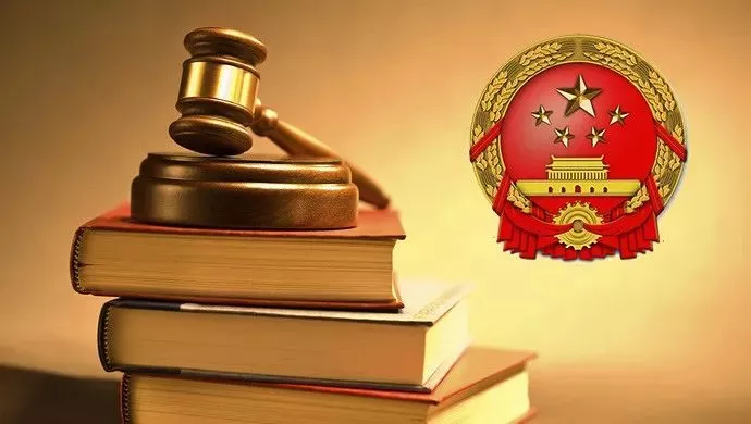 党委政府顾问与行政诉讼